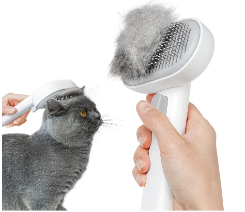 Cat Brush 1