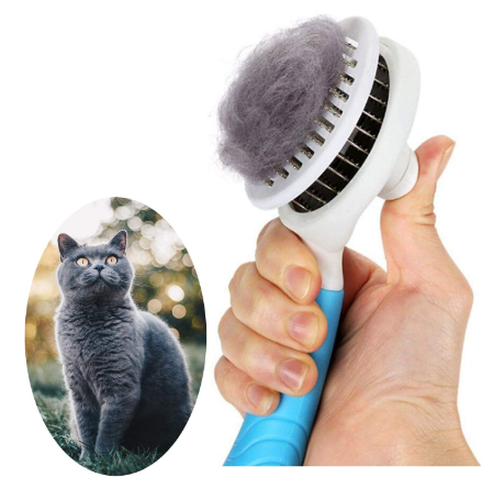 Cat Brush 11