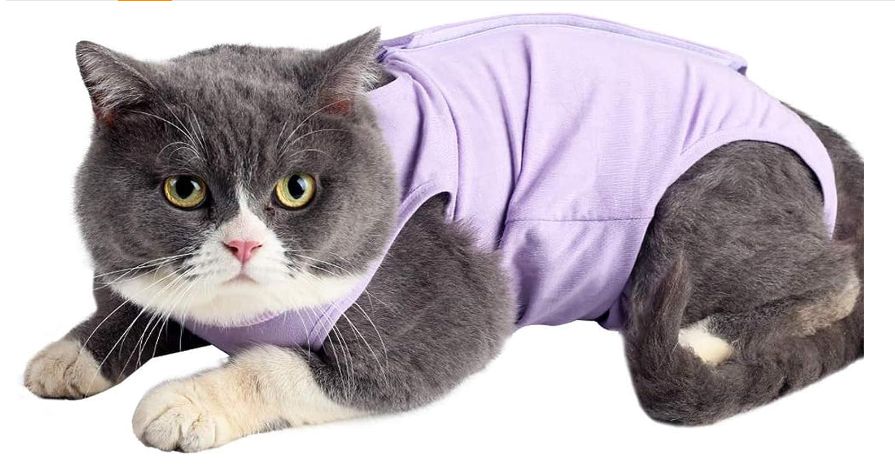 Cat Onsie After Surgery