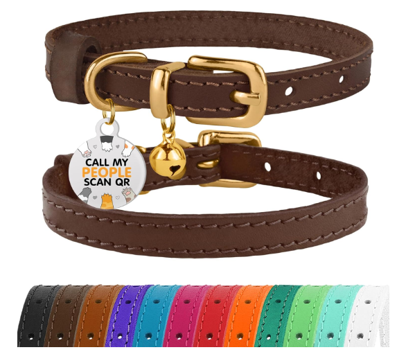 Bronzedog Leather Collar