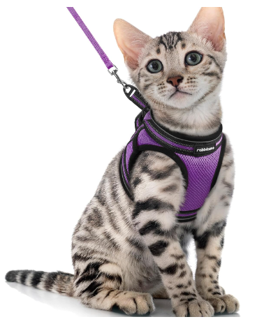 Extra Large Cat Harness Of Rabbitgoo