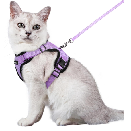 Rabbitgoo Medium Size Harness