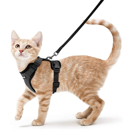 Rabbitgoo Small Harness