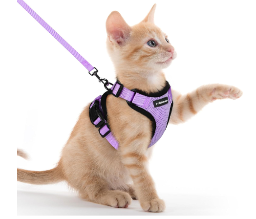 Rabbitgoo Xx Small Harness