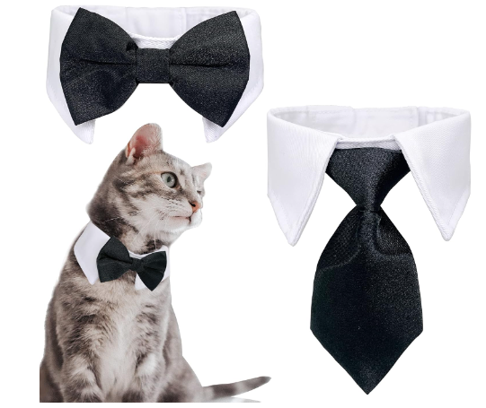 Casidoxi Cat Bow Tie