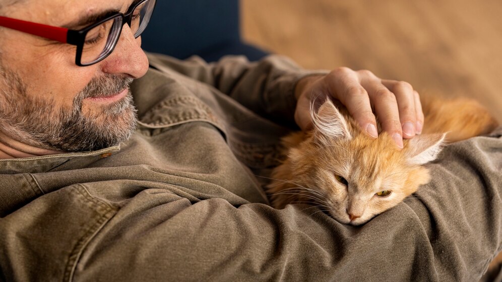 Cat With Owners Chest 1