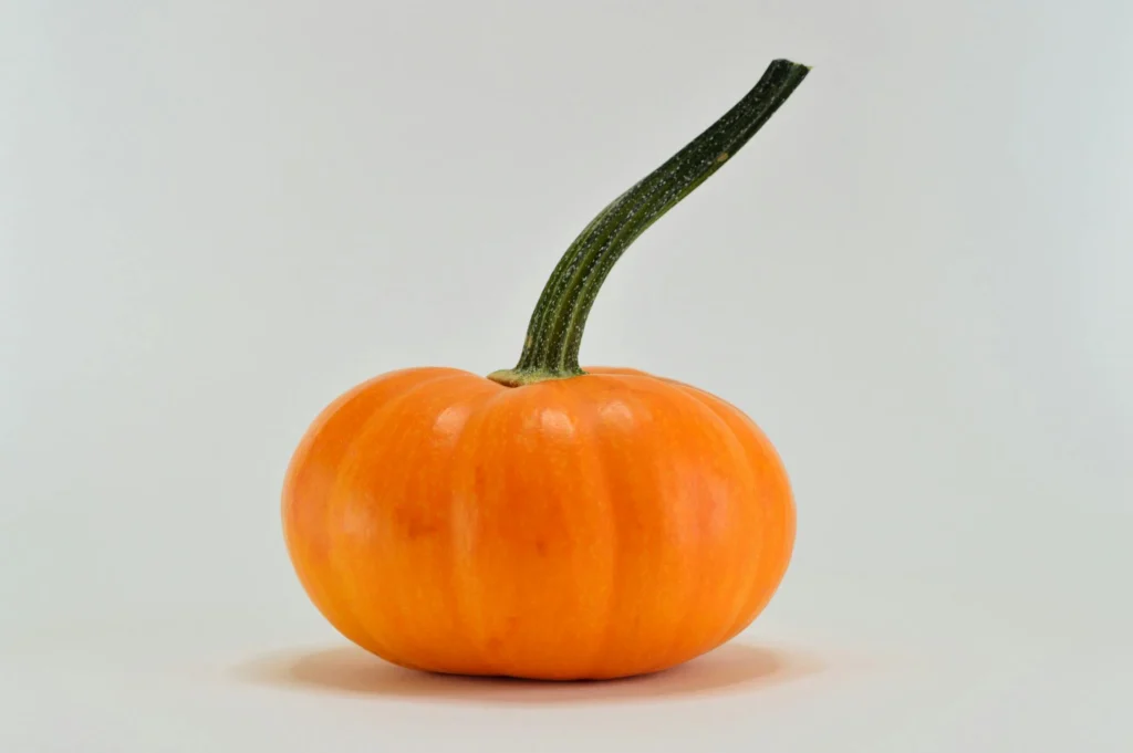 Pumkin