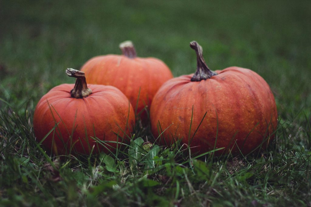 Three Pumkins