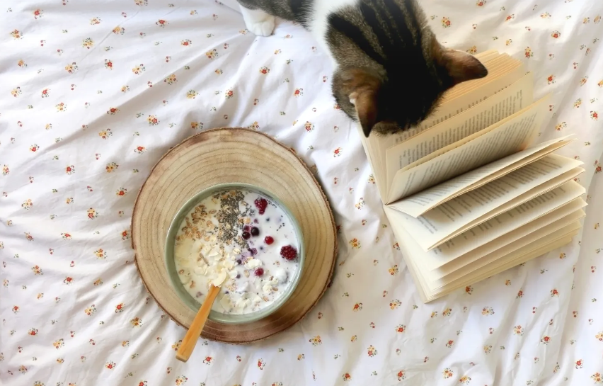 Cat And Oatmeal