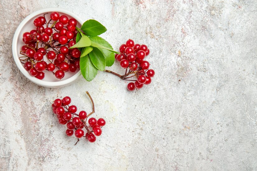 Top View Red Cranberries Fresh Fruits White Table Fresh Berry Red Fruit 140725 72756