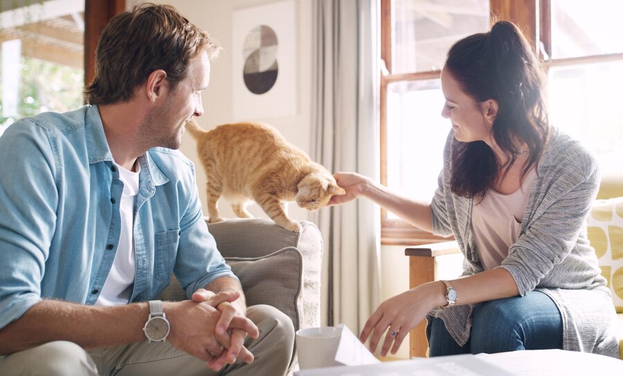 home couple smile with cat sofa